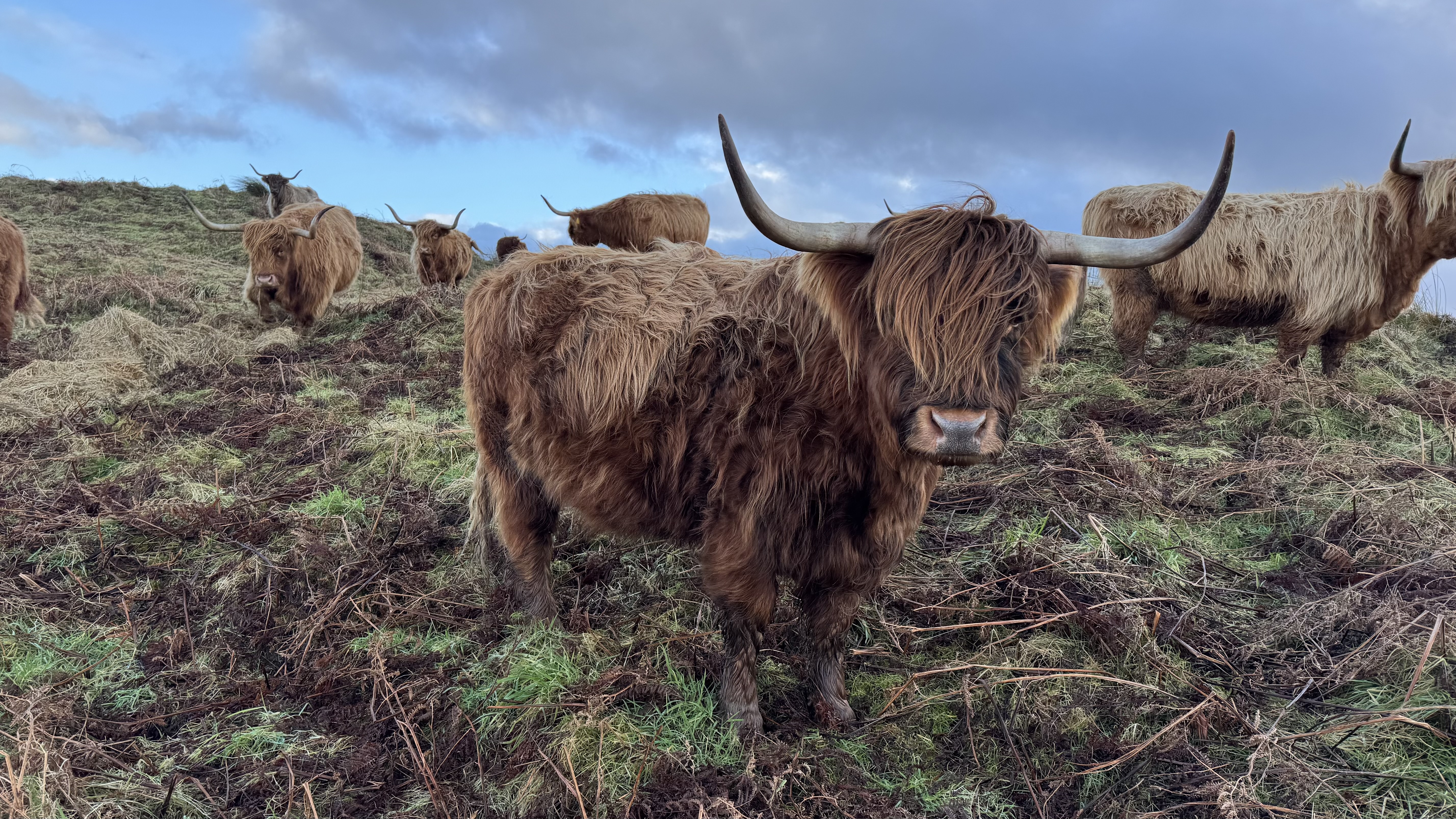 Hand-sewn minky blanket folded and styled.